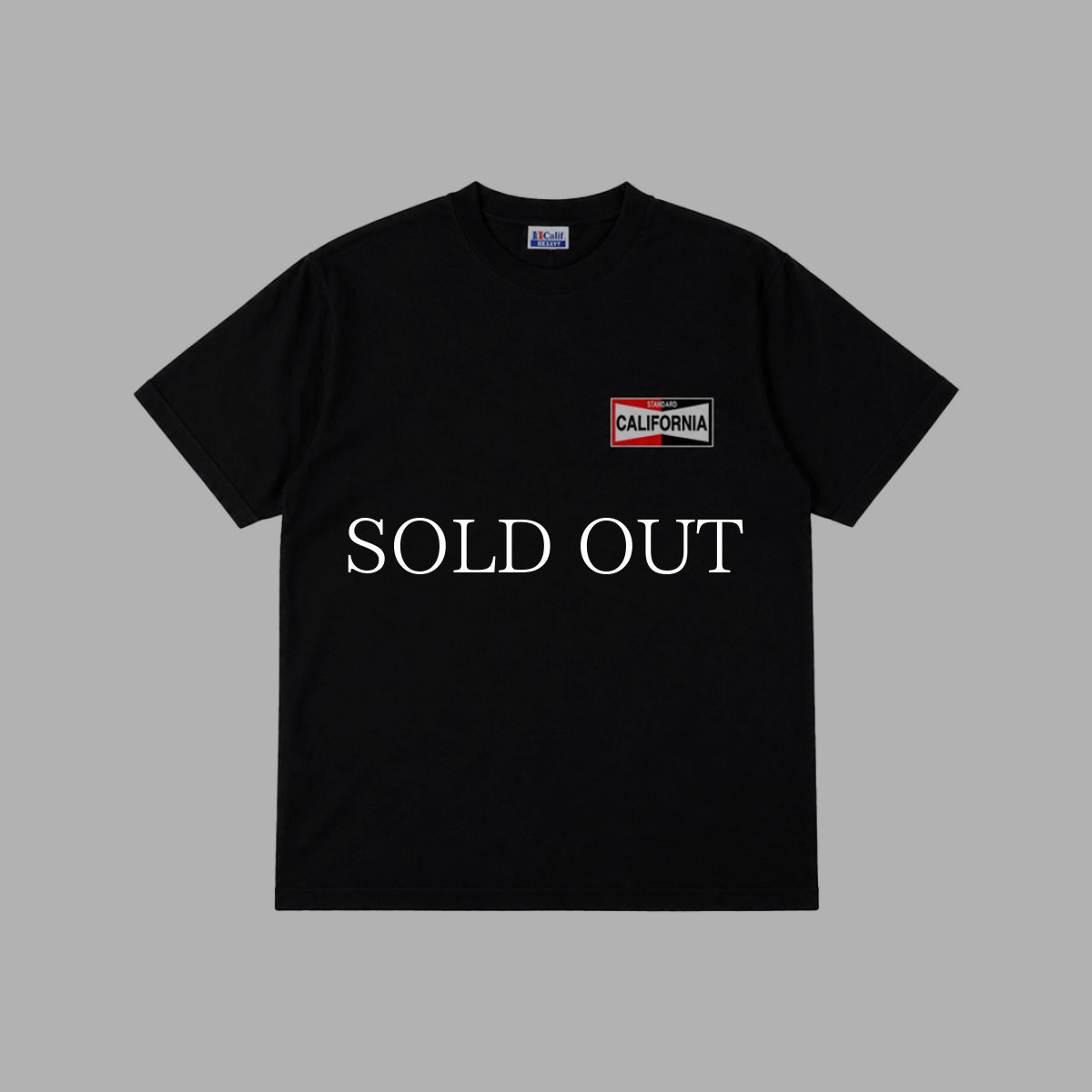 画像10: STANDARD CALIFORNIA  SD Heavyweight LOGO T ROOM LTD (10)