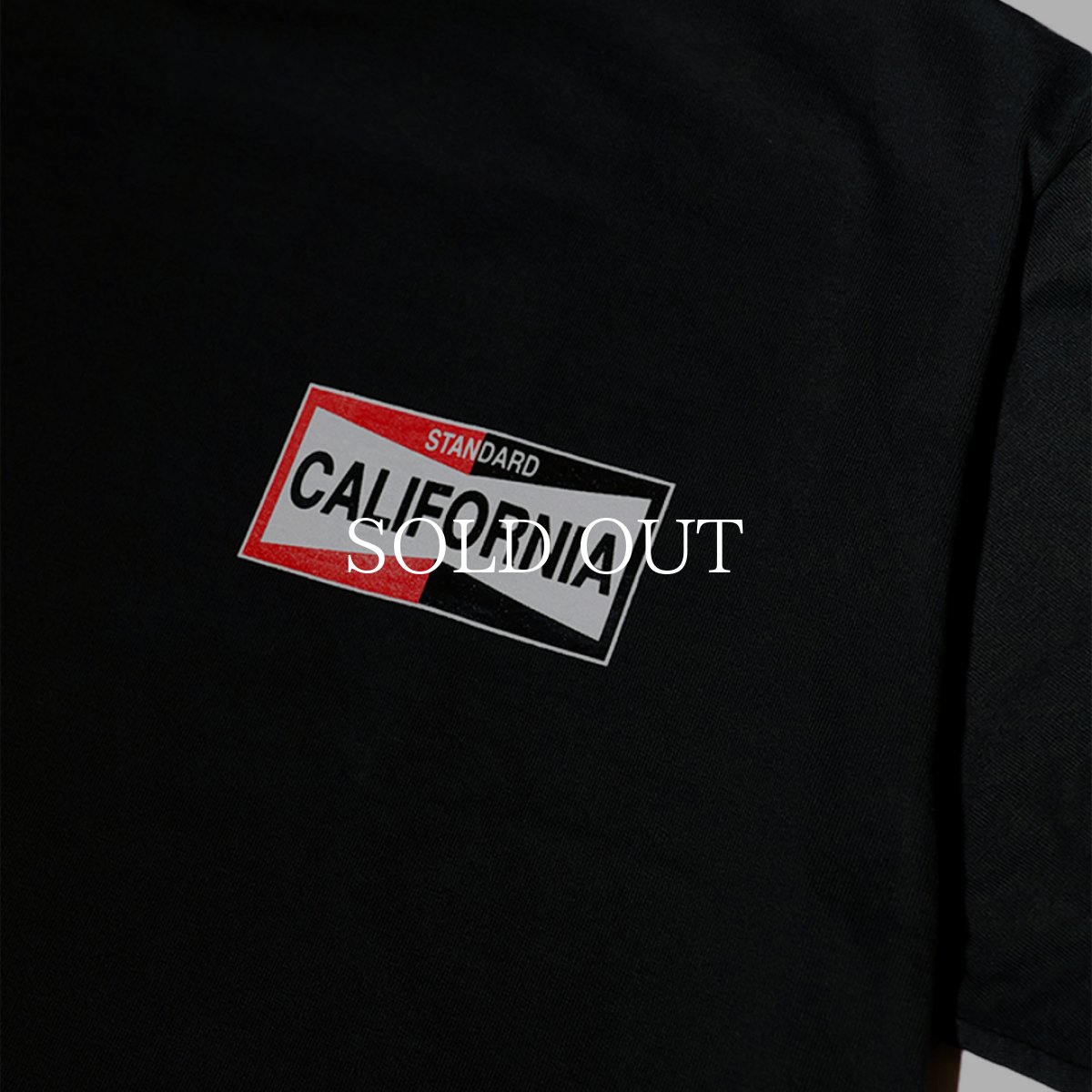 画像16: STANDARD CALIFORNIA  SD Heavyweight LOGO T ROOM LTD (16)