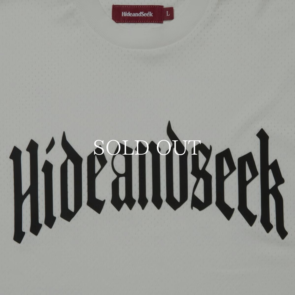 画像6: HideandSeek  Mesh L/S Tee (6)