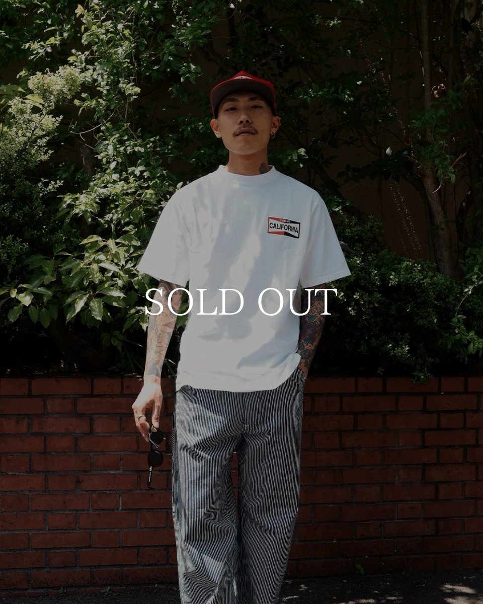 画像5: STANDARD CALIFORNIA  SD Heavyweight LOGO T ROOM LTD (5)