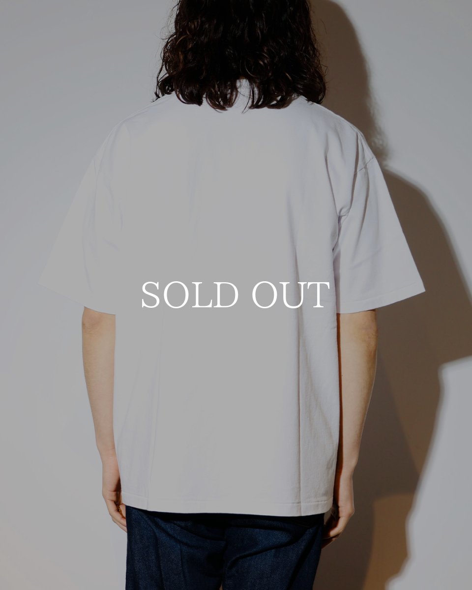 画像6: CHALLENGER  PIGMENT SNAKE TEE (6)