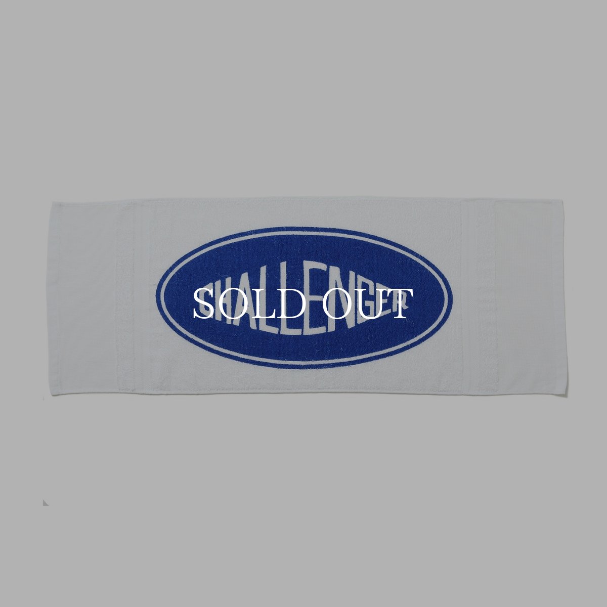 画像1: CHALLENGER  PUBLIC BATH TOWEL (1)