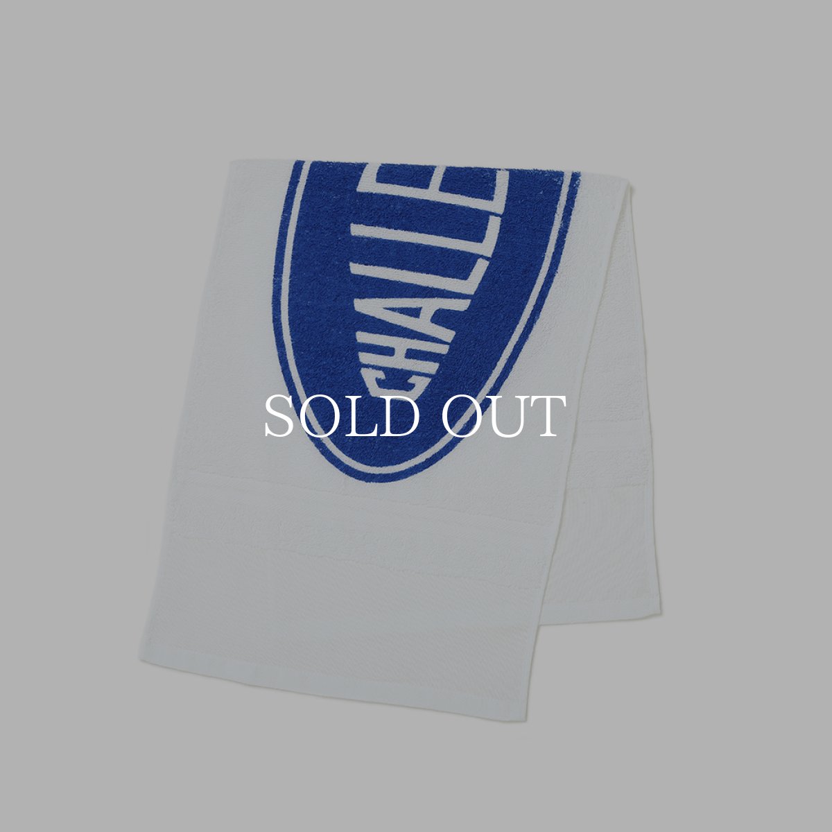 画像2: CHALLENGER  PUBLIC BATH TOWEL (2)