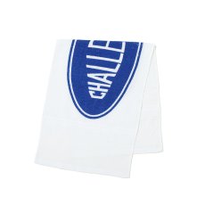 画像2: CHALLENGER  PUBLIC BATH TOWEL (2)