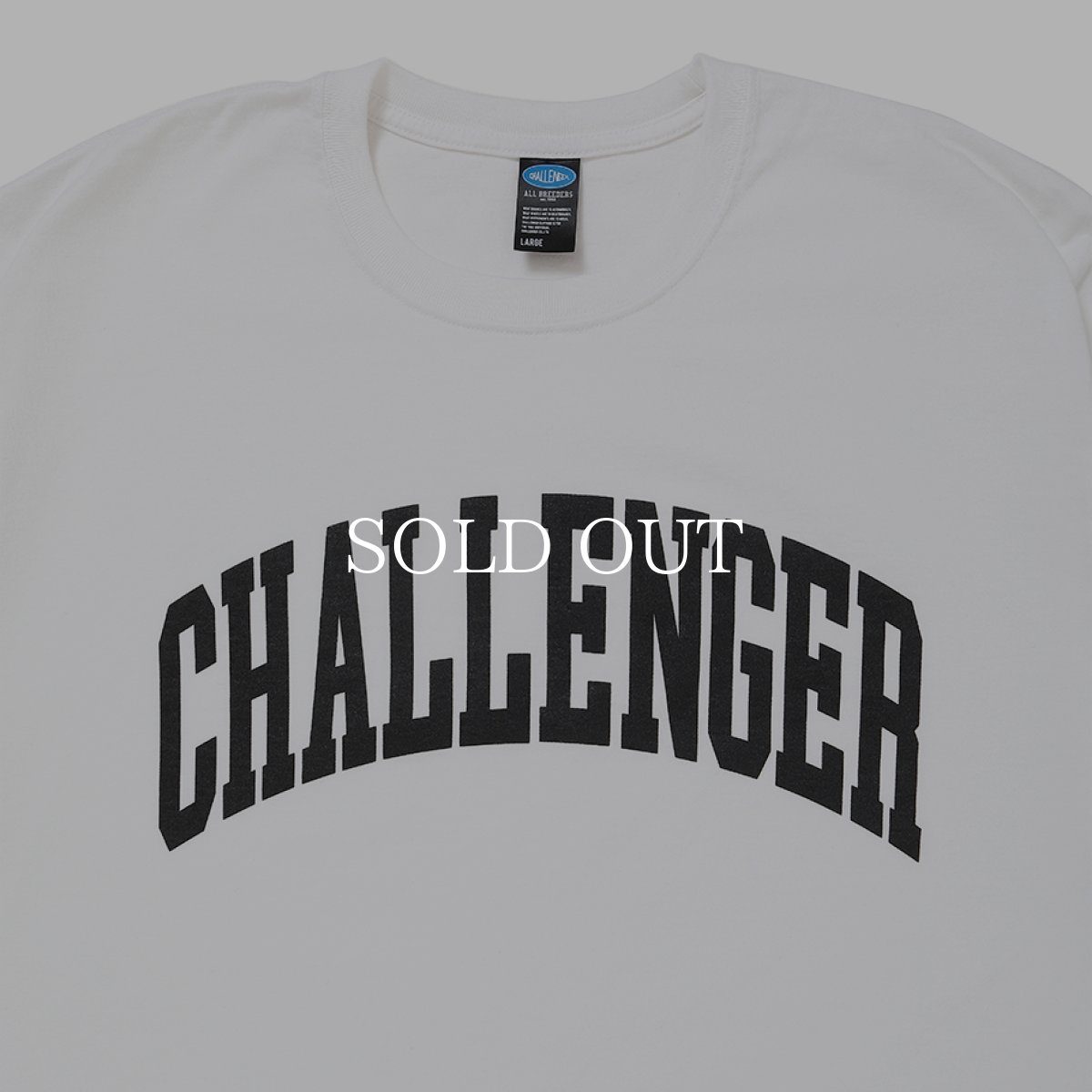 画像6: CHALLENGER  COLLEGE TEE (6)