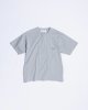 ASH GRAY