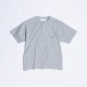 ASH GRAY