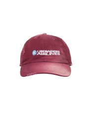 画像1: Liberaiders  FADED AIRLINE CAP (1)