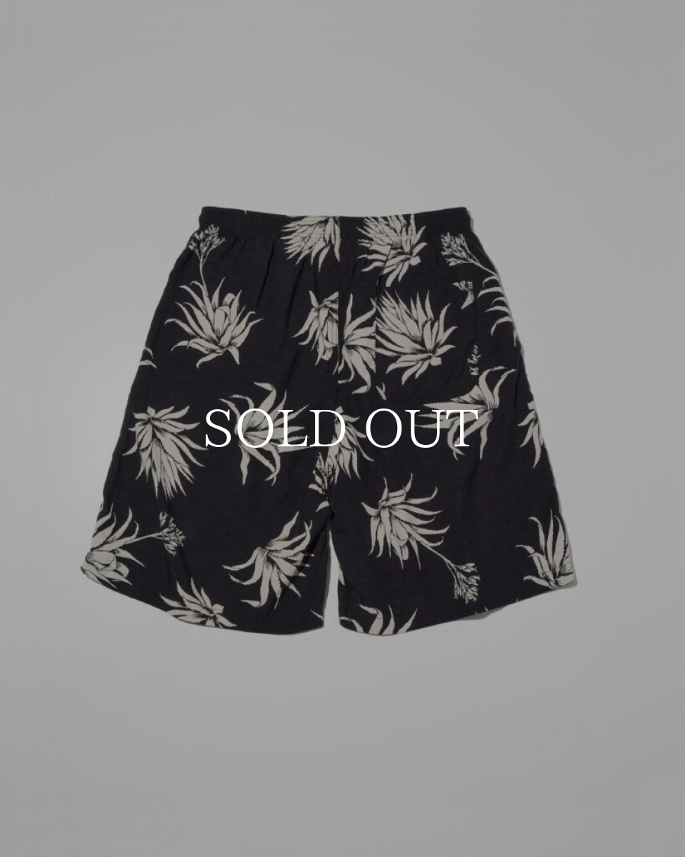 画像2: RADIALL  Agave - STRAIGHT FIT EASY SHORTS (2)