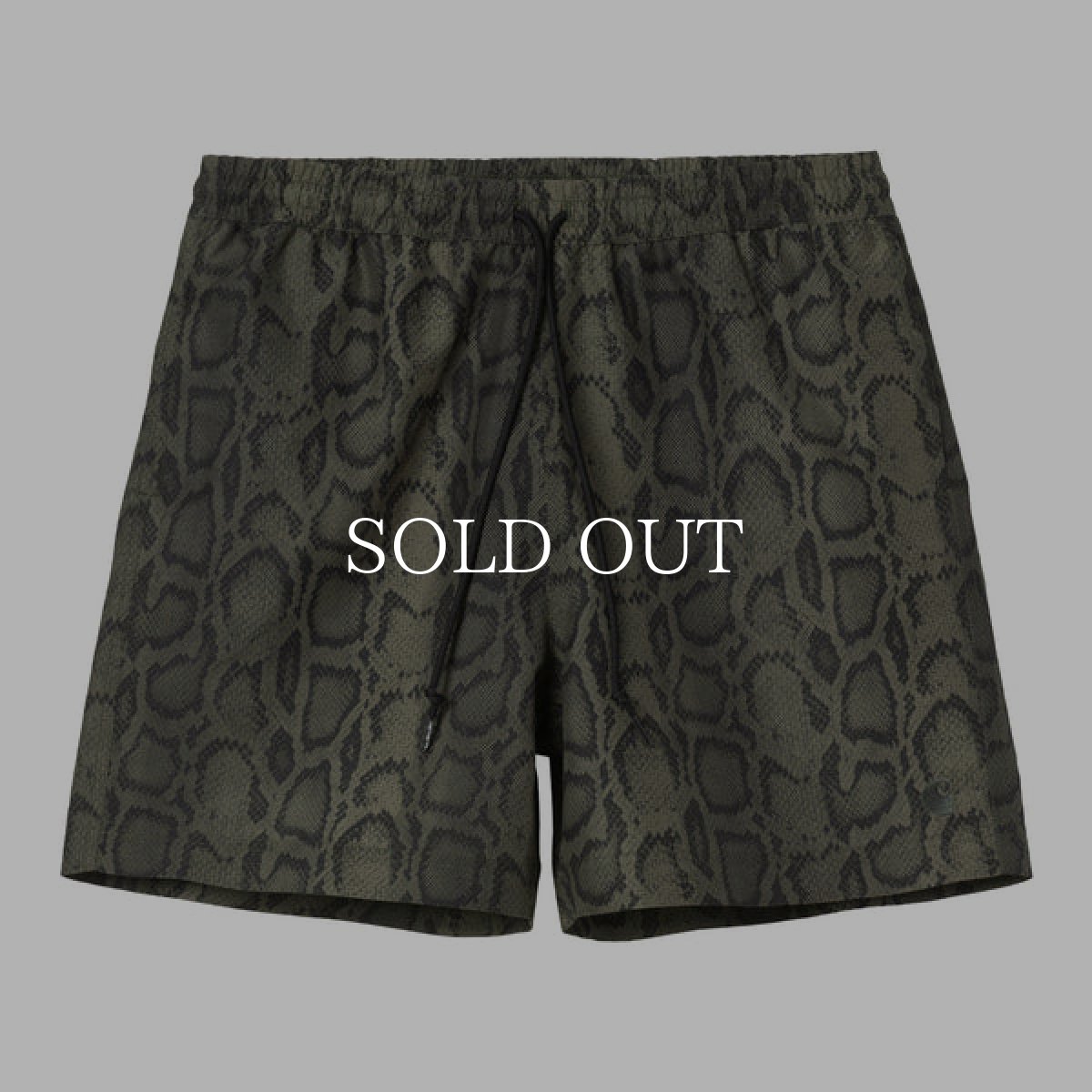 画像1: CARHARTT WIP   Slater Swim Trunks (1)
