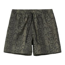 画像1: CARHARTT WIP   Slater Swim Trunks (1)