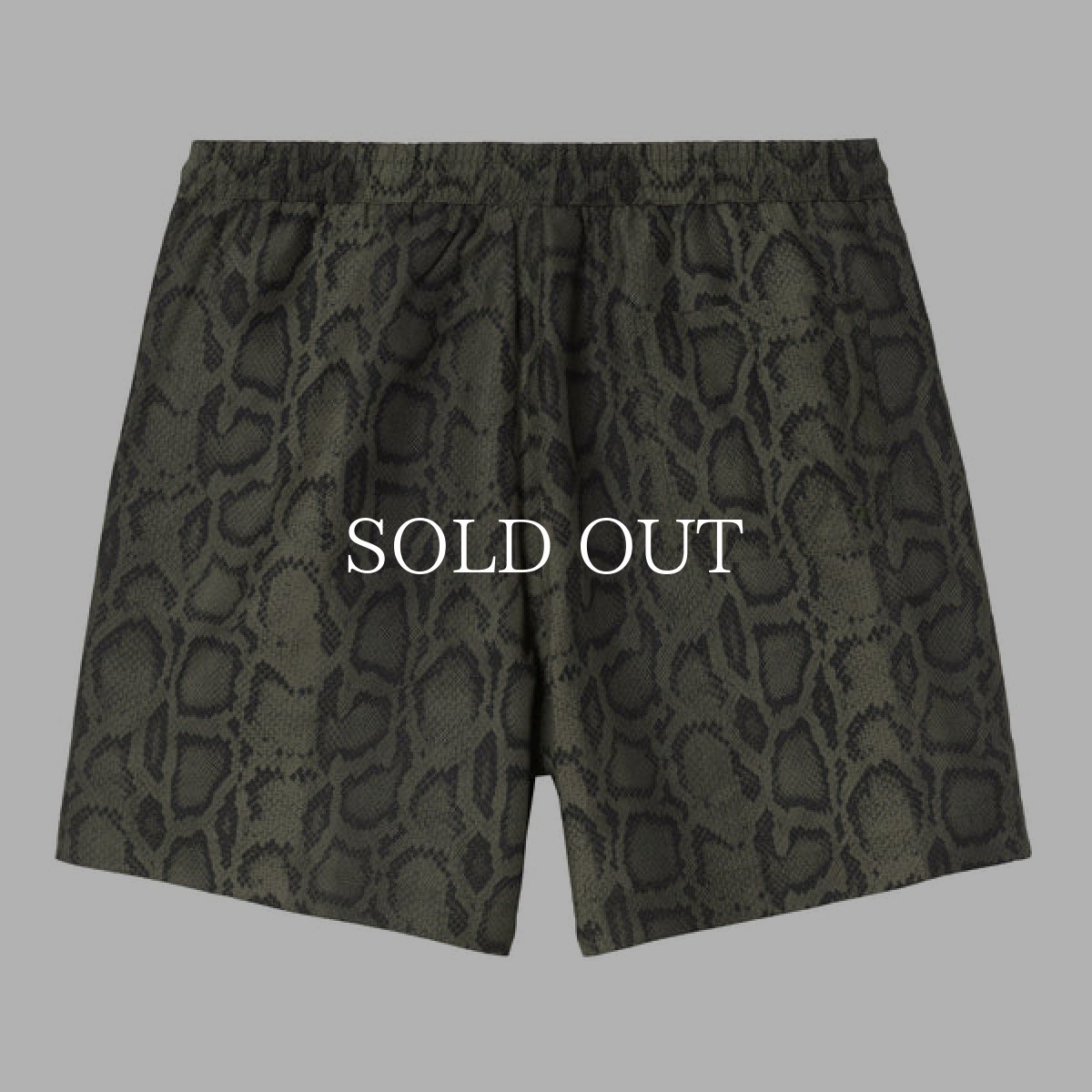 画像2: CARHARTT WIP   Slater Swim Trunks (2)