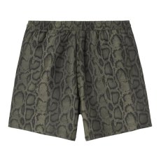 画像2: CARHARTT WIP   Slater Swim Trunks (2)