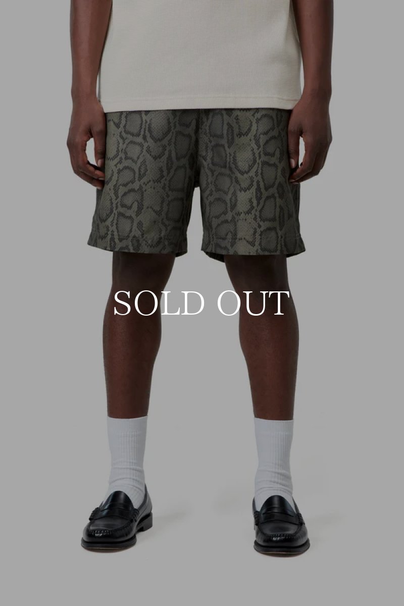 画像3: CARHARTT WIP   Slater Swim Trunks (3)