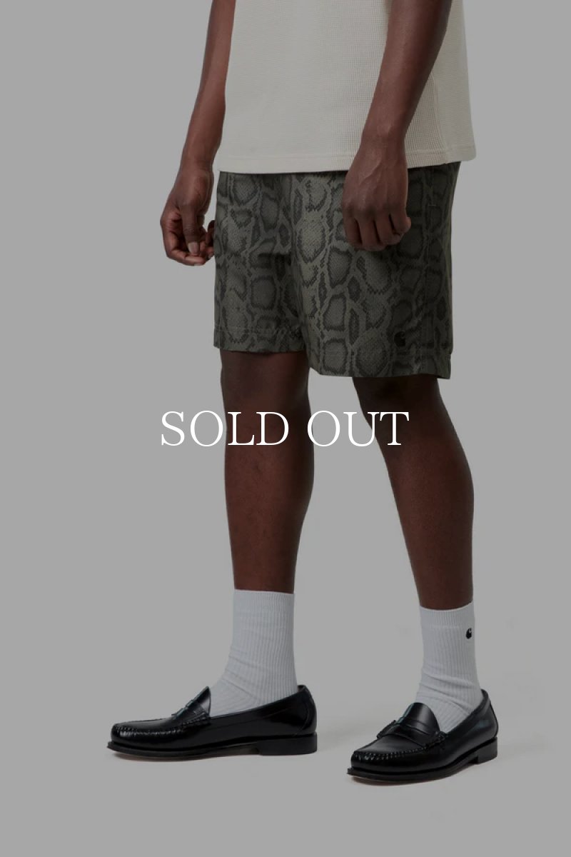画像4: CARHARTT WIP   Slater Swim Trunks (4)