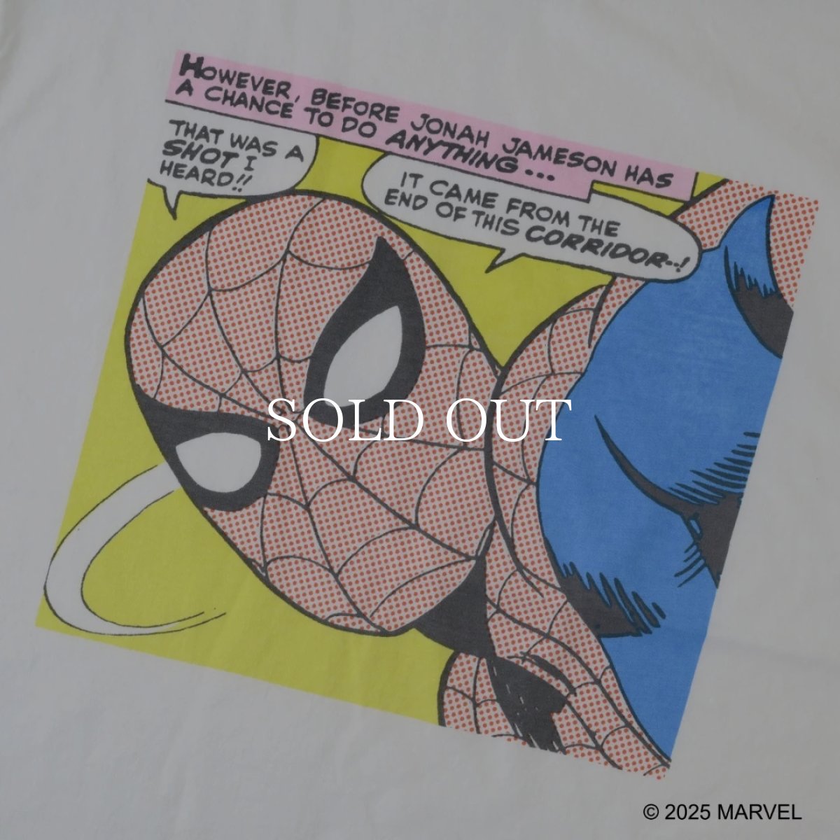 画像4: VARIEGATOR  Spider-Man /Tee (4)