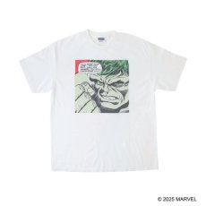 画像1: VARIEGATOR  Hulk /Tee (1)