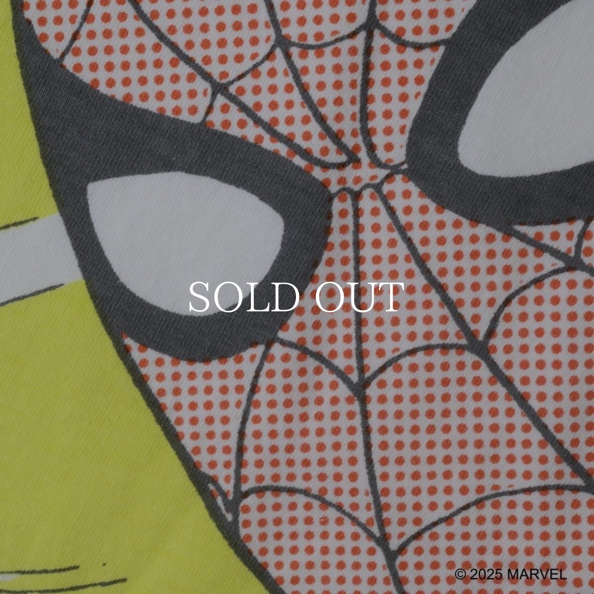 画像5: VARIEGATOR  Spider-Man /Tee (5)