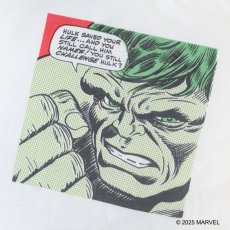 画像2: VARIEGATOR  Hulk /Tee (2)