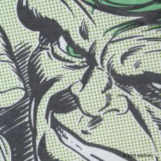 画像3: VARIEGATOR  Hulk /Tee (3)