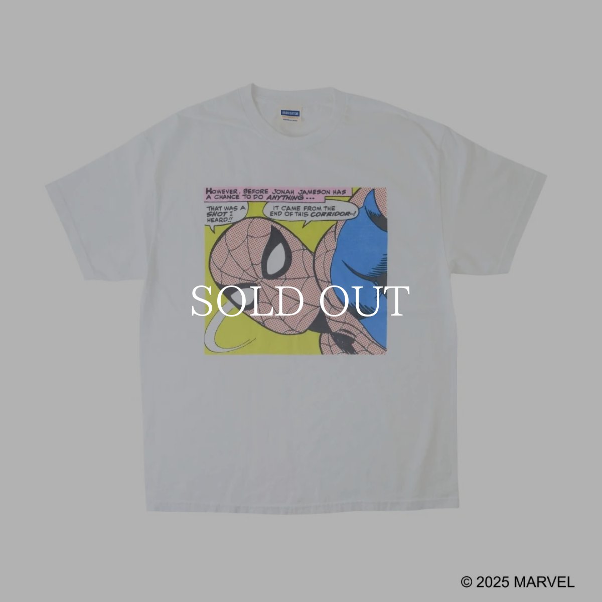 画像1: VARIEGATOR  Spider-Man /Tee (1)