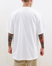 画像3: VARIEGATOR  Spider-Man /Tee (3)