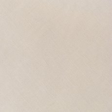 画像10: MINEDENIM  L.Linen Cotton Slub  (10)