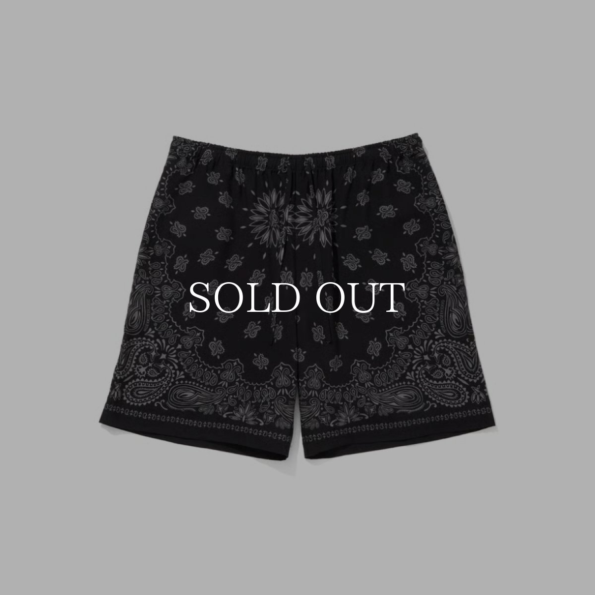 画像1: HideandSeek  Bandana Short (1)