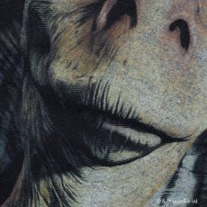 画像6: VARIEGATOR  Jar Jar Binks /Tee (6)