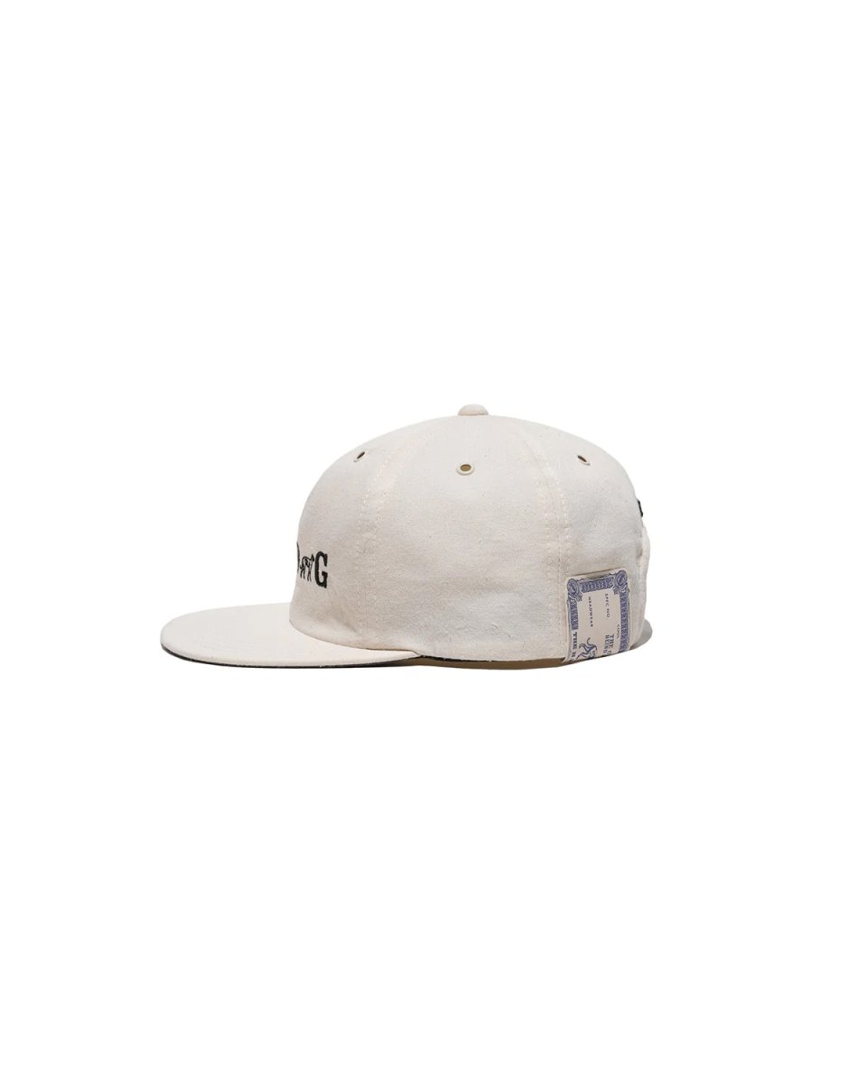 画像14: THE H.W.DOG&CO.  DENIM SKATE CAP (14)