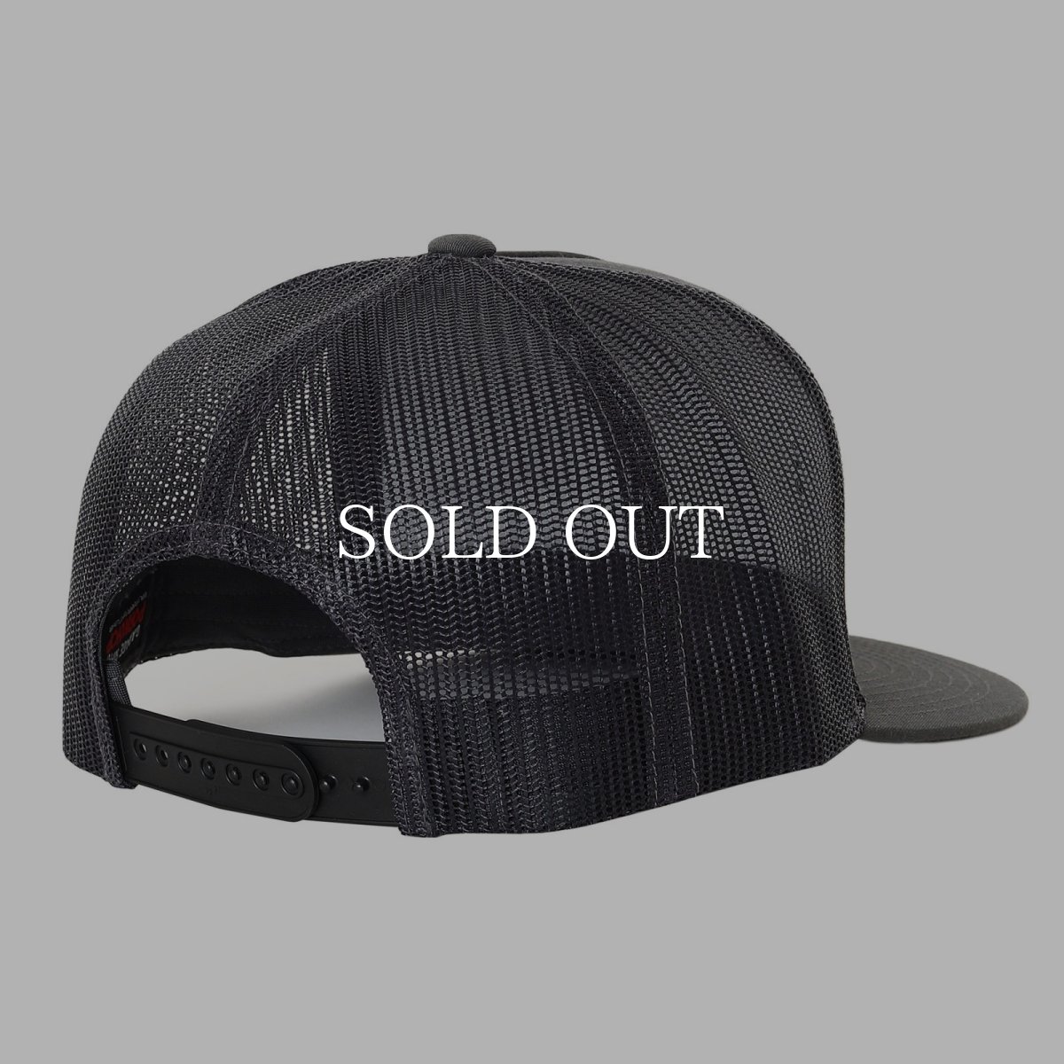 画像5: PORKCHOP GARAGE SUPPLY  WAPPEN MESH CAP (5)