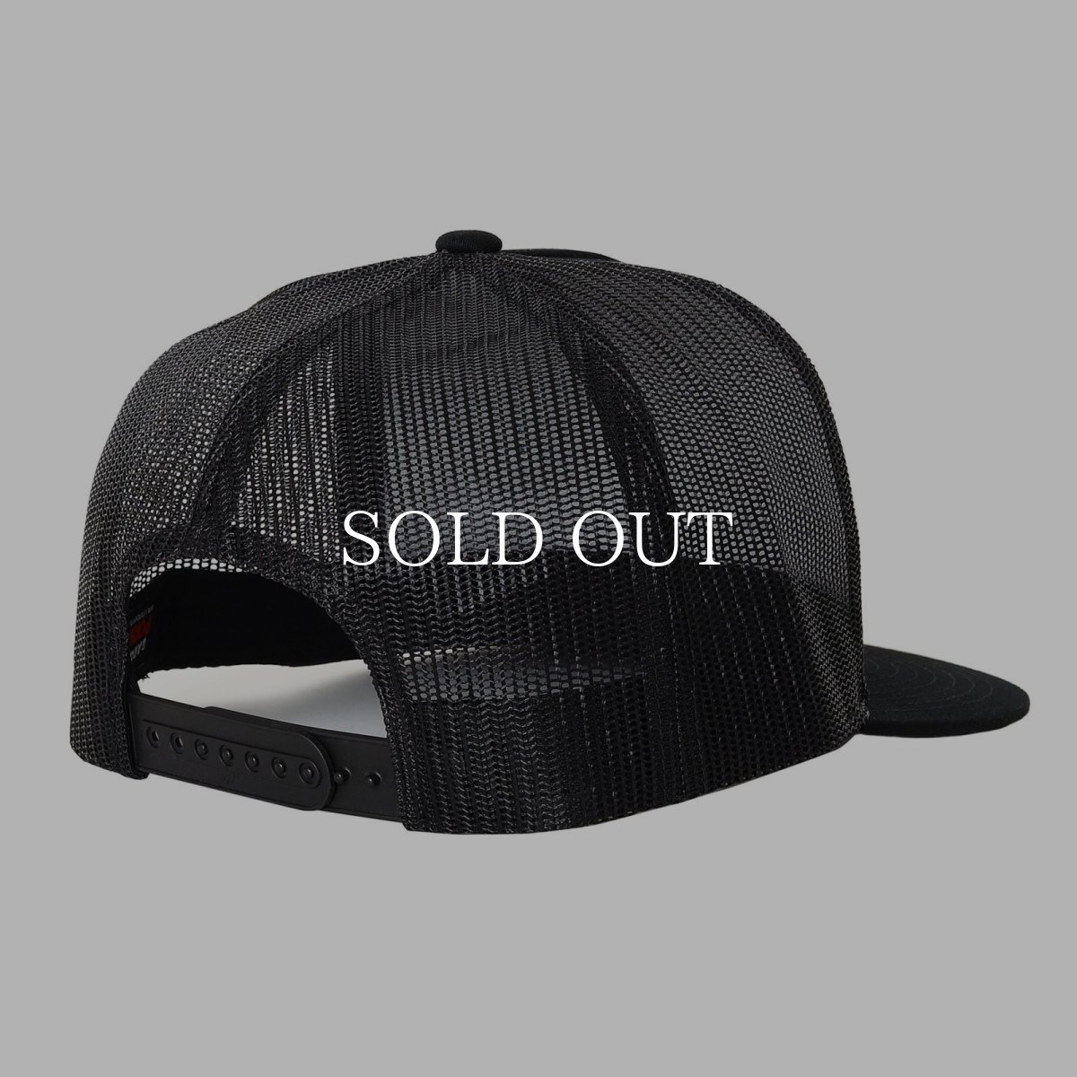 画像2: PORKCHOP GARAGE SUPPLY  WAPPEN MESH CAP (2)