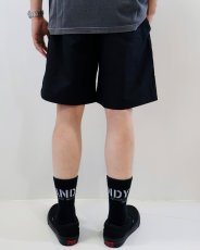 画像5: HideandSeek  Nylon Easy Short (5)