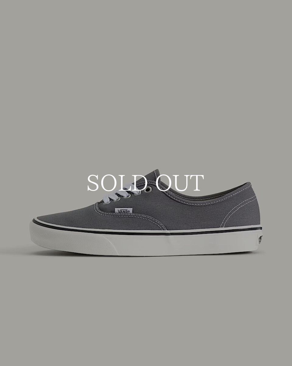 画像1: VANS  Authentic (1)