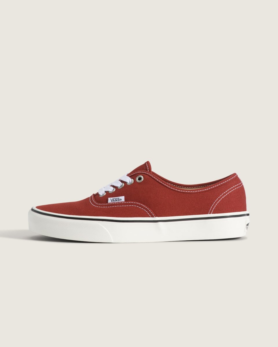 画像1: VANS  Authentic (1)