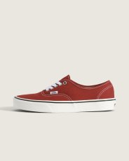 画像1: VANS  Authentic (1)