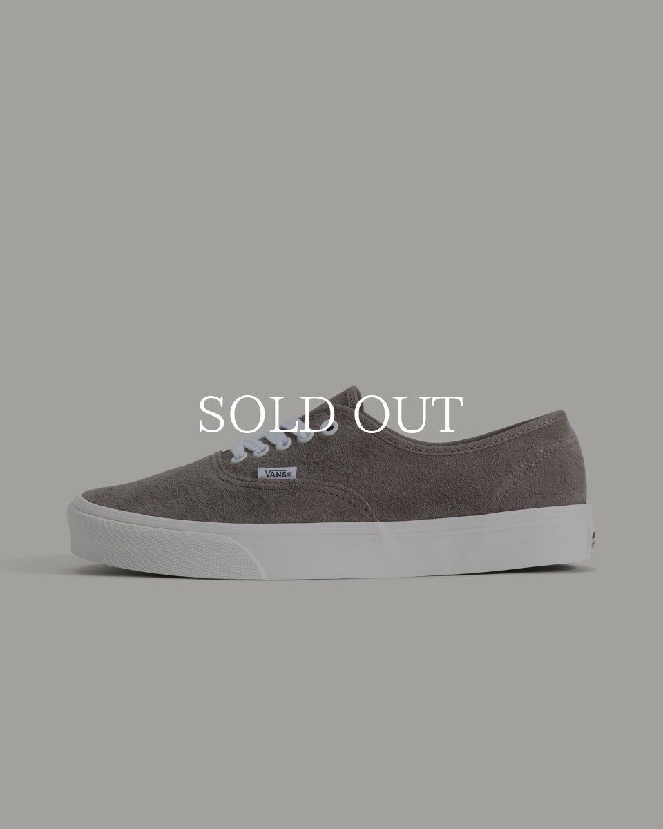 画像1: VANS  Authentic (1)