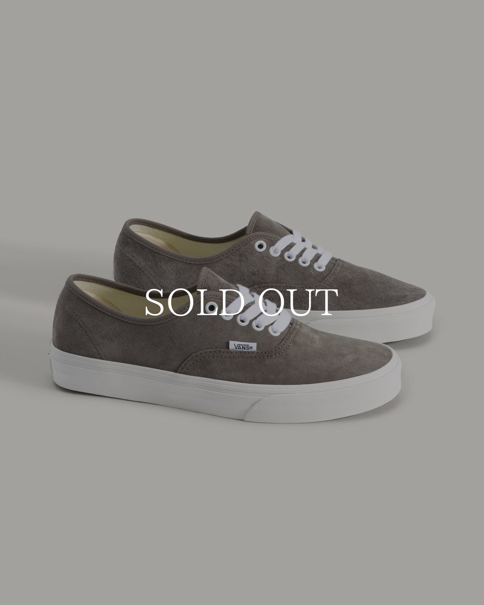 画像2: VANS  Authentic (2)
