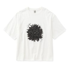 画像6: CALEE  DAHLIA ART TEE ＜MIHO MURAKAMI DESIGN＞ (6)