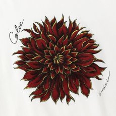 画像5: CALEE  DAHLIA ART TEE ＜MIHO MURAKAMI DESIGN＞ (5)