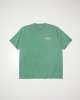 FADED GREEN__SGREEN__
