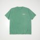 FADED GREEN__SGREEN__