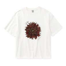 画像1: CALEE  DAHLIA ART TEE ＜MIHO MURAKAMI DESIGN＞ (1)