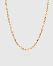 画像1: TOMWOOD   Ada Chain Slim Gold (1)