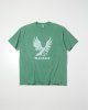 FADED GREEN__SGREEN__