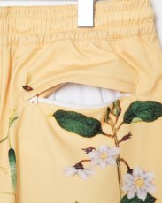 画像7: APPLEBUM  "Edo Botanical" Hoopers Shorts (7)
