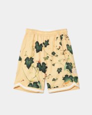 画像1: APPLEBUM  "Edo Botanical" Hoopers Shorts (1)