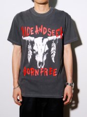画像3: HideandSeek  Buffalo Skull S/S Tee(Front) (3)