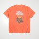 FADED ORANGE__SORANGE__