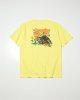 YELLOW__SYELLOW__